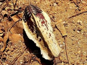 Je n'ai rien dit à personne - Crédit photo izart.fr